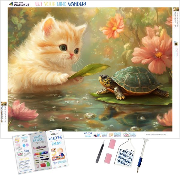 Fluffy Kitten And A Small Turtle Supply